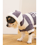 【CAT&DOG】スムーズィー２ボーダーフーディー