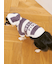 【CAT&DOG】スムーズィー２ボーダーフーディー
