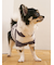 【CAT&DOG】スムーズィー２ボーダーフーディー
