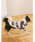 【CAT&DOG】スムーズィー２ボーダーフーディー