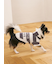 【CAT&DOG】スムーズィー２ボーダーフーディー