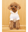 【CAT&DOG】スムーズィー２ボーダーフーディー
