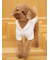 【CAT&DOG】スムーズィー２ボーダーフーディー