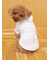 【CAT&DOG】スムーズィー２ボーダーフーディー