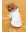 【CAT&DOG】スムーズィー２ボーダーフーディー