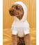 【CAT&DOG】スムーズィー２ボーダーフーディー