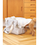 【CAT&DOG】スムーズィー２ボーダーフーディー