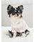 【CAT&DOG】スムーズィー２ボーダーフーディー
