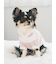 【CAT&DOG】スムーズィー２ボーダーフーディー