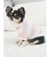 【CAT&DOG】スムーズィー２ボーダーフーディー