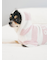 【CAT&DOG】スムーズィー２ボーダーフーディー
