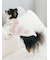 【CAT&DOG】スムーズィー２ボーダーフーディー