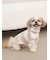 【CAT&DOG】スムーズィー２ボーダーフーディー
