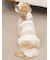 【CAT&DOG】スムーズィー２ボーダーフーディー