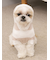【CAT&DOG】スムーズィー２ボーダーフーディー
