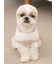 【CAT&DOG】スムーズィー２ボーダーフーディー