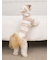 【CAT&DOG】スムーズィー２ボーダーフーディー