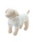 【CAT&DOG】スムーズィー２ボーダーフーディー