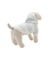【CAT&DOG】スムーズィー２ボーダーフーディー