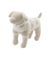 【CAT&DOG】スムーズィー２ボーダーフーディー