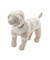 【CAT&DOG】スムーズィー２ボーダーフーディー