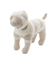 【CAT&DOG】スムーズィー２ボーダーフーディー