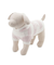 【CAT&DOG】スムーズィー２ボーダーフーディー