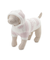 【CAT&DOG】スムーズィー２ボーダーフーディー