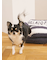 【CAT&DOG】ジェラートソファ型ベッドM