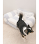 【CAT&DOG】ジェラートソファ型ベッドM