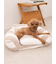 【CAT&DOG】ジェラートソファ型ベッドM