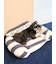 【CAT&DOG】ジェラートソファ型ベッドL