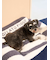 【CAT&DOG】ジェラートソファ型ベッドL