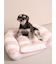 【CAT&DOG】ジェラートソファ型ベッドL