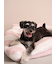 【CAT&DOG】ジェラートソファ型ベッドL