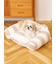 【CAT&DOG】ジェラートソファ型ベッドL