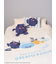 【ドラゴンクエスト】【Sleep】ジャガードマルチカバー