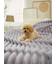 【Sleep】もこもこストライプ 毛布