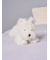 【Sleep】ウェスティ くたくたクッション