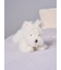 【Sleep】ウェスティ くたくたクッション