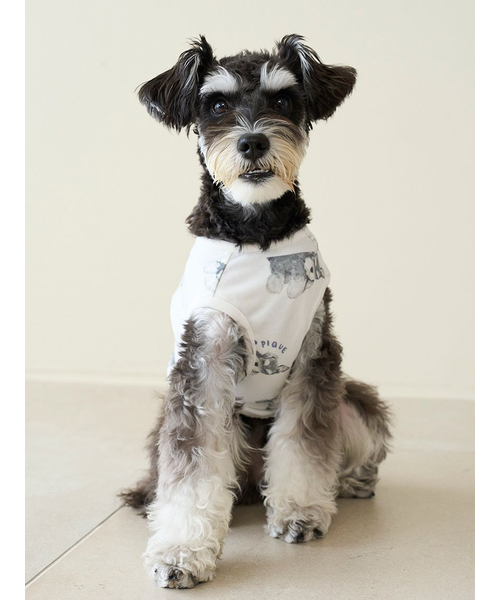 CAT&DOG】シュナウザー柄カットソープルオーバー｜ジェラートピケの