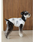 【CAT&DOG】シュナウザー柄カットソープルオーバー