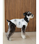 【CAT&DOG】シュナウザー柄カットソープルオーバー