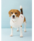 【CAT&DOG】ベビモコベアサガラ刺繍プルオーバー