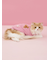 【CAT&DOG】ベビモコベアサガラ刺繍プルオーバー