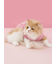 【CAT&DOG】ベビモコベアサガラ刺繍プルオーバー
