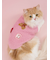 【CAT&DOG】ベビモコベアサガラ刺繍プルオーバー