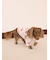 【CAT&DOG】フェイバリット柄プルオーバー