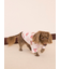 【CAT&DOG】フェイバリット柄プルオーバー