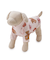【CAT&DOG】フェイバリット柄プルオーバー
